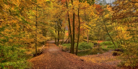 Autumn Forest - fall, trees, season, colors, bridge, leaves