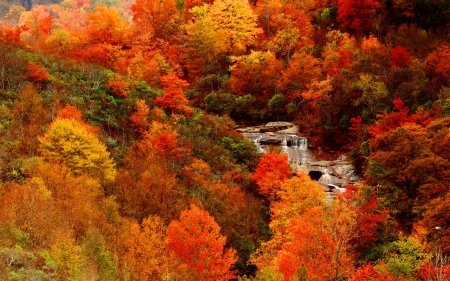 Autumn waterfall - afll, forest, foliage, beautiful, waterfall, leaves, view, autumn, colorful, cascades