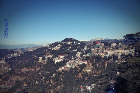 City of simla,India - entertainment, hills, mountain, city over hills, simla of india