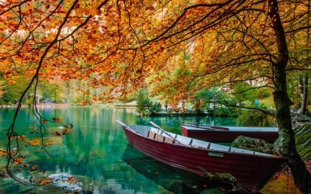 Autumn Lake - lake, fall, boats, trees, turquoise water, beautiful, leaves, colors