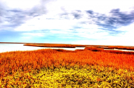 winding bay inlet in autumn - sky, autumn, colors, inlet, grass