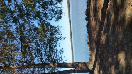 Peaceful - trees, water, nature, blue, lake