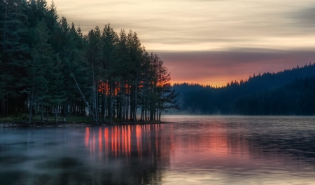 Amazing Nature - nature, tree, sunset, river