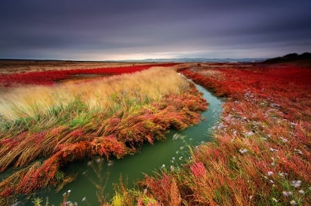 Lovely Colors - water, colors, autumn, beautiful