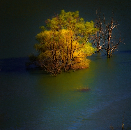 Autumn River - tree, nature, river, autumn