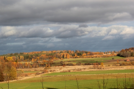 Autumn - fields, nature, other, autumn