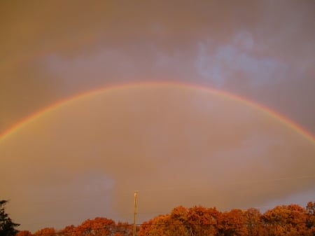 WV Rainbow - fall, trees, rainbow, sky