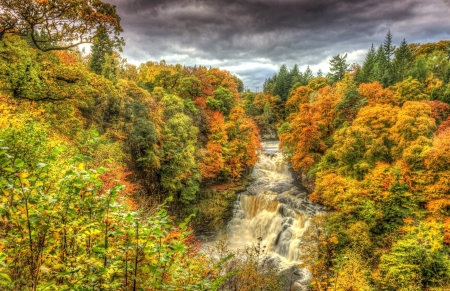 Forest Fall - nature, autumn, forest, clouds, waterfall