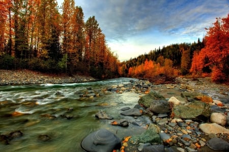 Autumn River - forest, river, trees, stone, nature, autumn