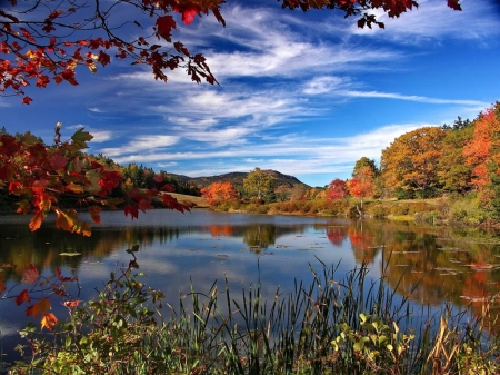 Lakeside Autumn - season, sky, fall, leaves, colors