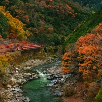 Autumn Train Trip