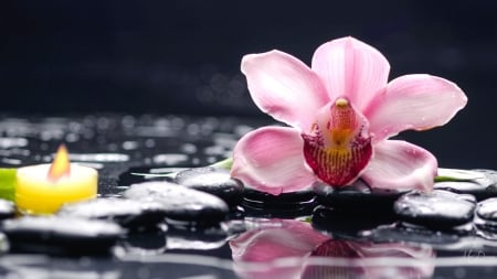 Spa Orchid and Flame - candle, orchid, water, rocks, flame, rest, spa, firefox persona theme, relax