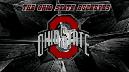 THE OHIO STATE BUCKEYES - BUCKEYES, FOOYBALL, STATE, OHIO