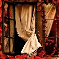 Window with Autumn Leaves