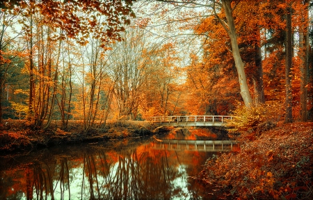 Fire Fall - river, Fire, autumn, Fall, lake