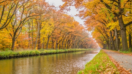 Autumn River - road, trees, channel, autumn