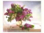 STILL LIFE OF LILACS