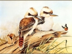 PAIR OF KOOKABURRA'S