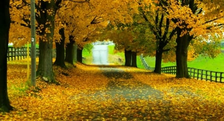 Autumn Road - nature, autumn, road, country