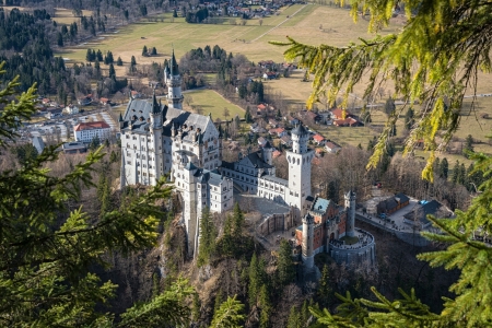 Neuschwanstein Castle, Germany - germany, trees, castle, medieval