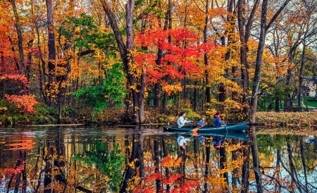 Fall Colors at New Brunswick - forest, trees, water, leaves, boat