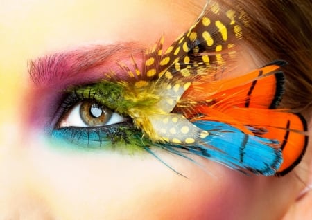 Eye makeup - glance, closeup, feathers, eye, makeup