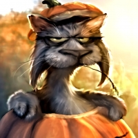 Cool Cat
