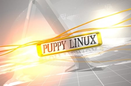 puppy Linux - y, v, x, c