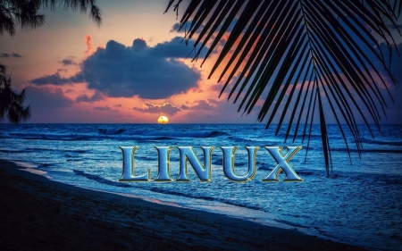 Linux - y, v, x, c