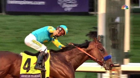 American Pharoah Wins Breeders' Cup - beautiful, thorobred, photography, Breeders Cup, photo, horse, wide screen, equine, American Pharoah, animal, thoroughbred