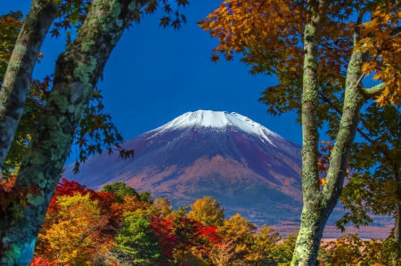 Japanese mountain in autumn - branches, sky, autumn, mountain, trees, colorful, peak, fall, japan, beautiful, leaves