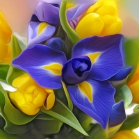 Iris in the Middle of Tulips