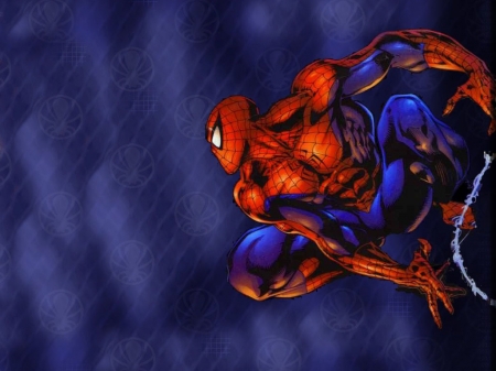 spiderman - web, man, spiderman, superhero