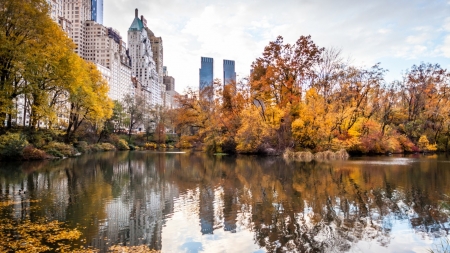 New York - new york, fall, america, city, park, usa, skyscrapers