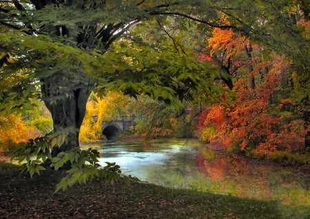 fall river - fall, pretty, river, autumn, colors, tree