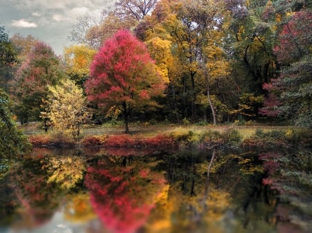 Autumns Mirror - fall, Autumns, lake, colors, reflection, Mirror