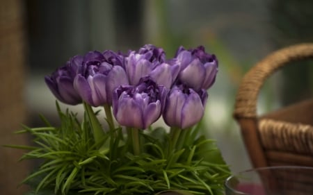 Little purple tulips bouquet - flowers, leaves, basket, tulips