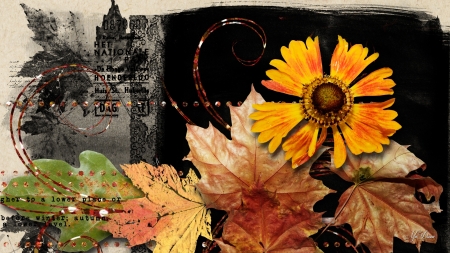 Fall Fantasies - flowers, fall, Firefox Persona theme, autumn, floral, dark, painted, leaves