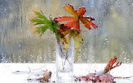 Raining - glass, water, rain, autumn