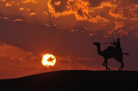 Sunset - desert, amazing, sunset, camel