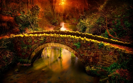 Colorful Sunset Over The Bridge - trees, sunset, sun rays, forest, river, beautiful, fairy tale, leaves, shrubs, bridge