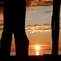 Sunset Between Two Trees