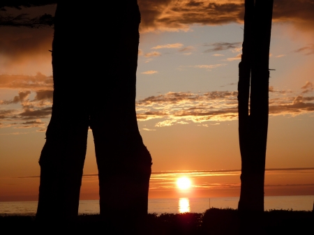 Sunset Between Two Trees - clouds, trees, sunset, nature, reflection