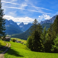 Summer In The Alps