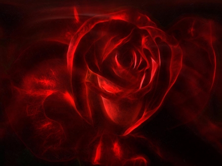 Rose - art, rose, flower, red