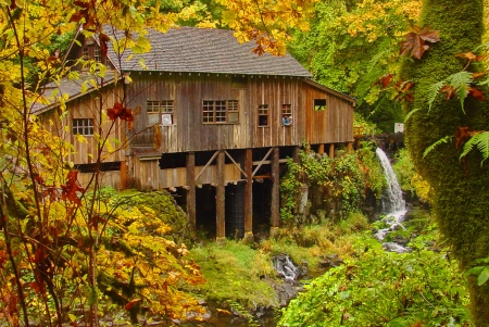 Cedar creek grist mill - branches, autumn, colroful, all, mill, foliage, creek, serenity, forest, beautiful, leaves, photo, grist