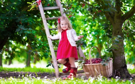 The little girl and the cherries - summer, child, copil, pink, girl, little, fruit, cherry, basket, tree, green