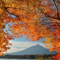 Mt. Fuji