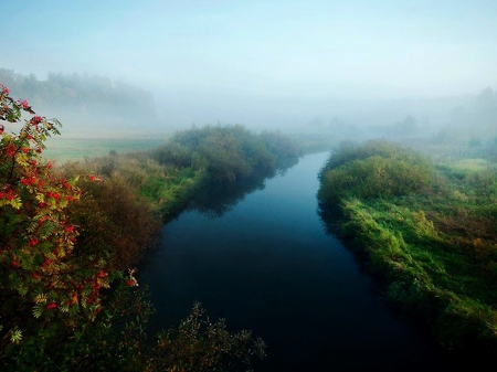 Mist Morning - nature, autumn, landscape, river, mountains, ash, mist