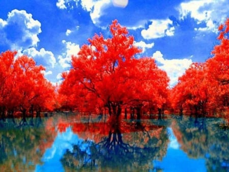 Lake Reflection - nature, autumn, trees, reflection, red, clouds